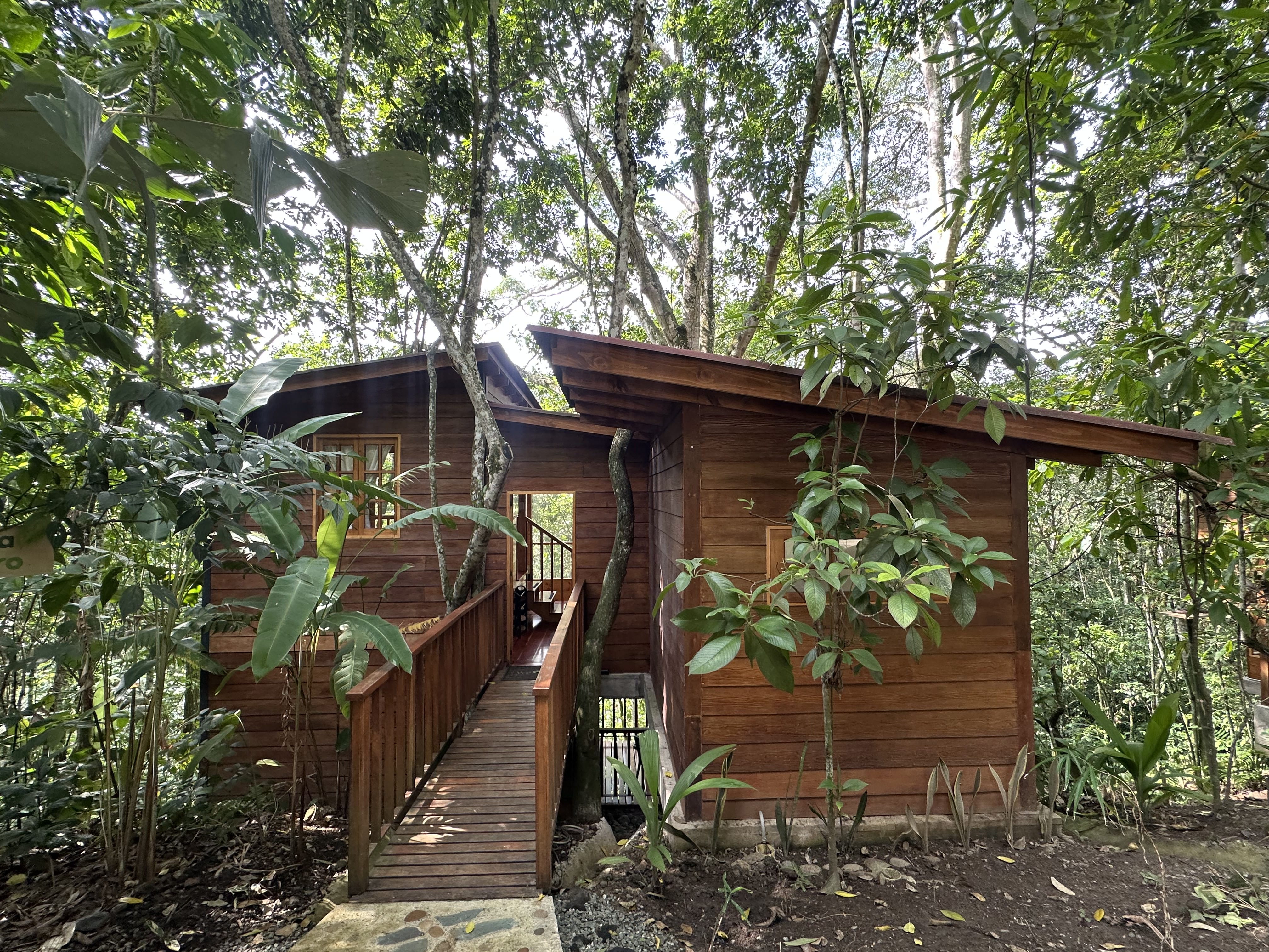 CHEC La Esmeralda reserve eco-lodge nestled in pristine cloud forest near ChinchinĆ”